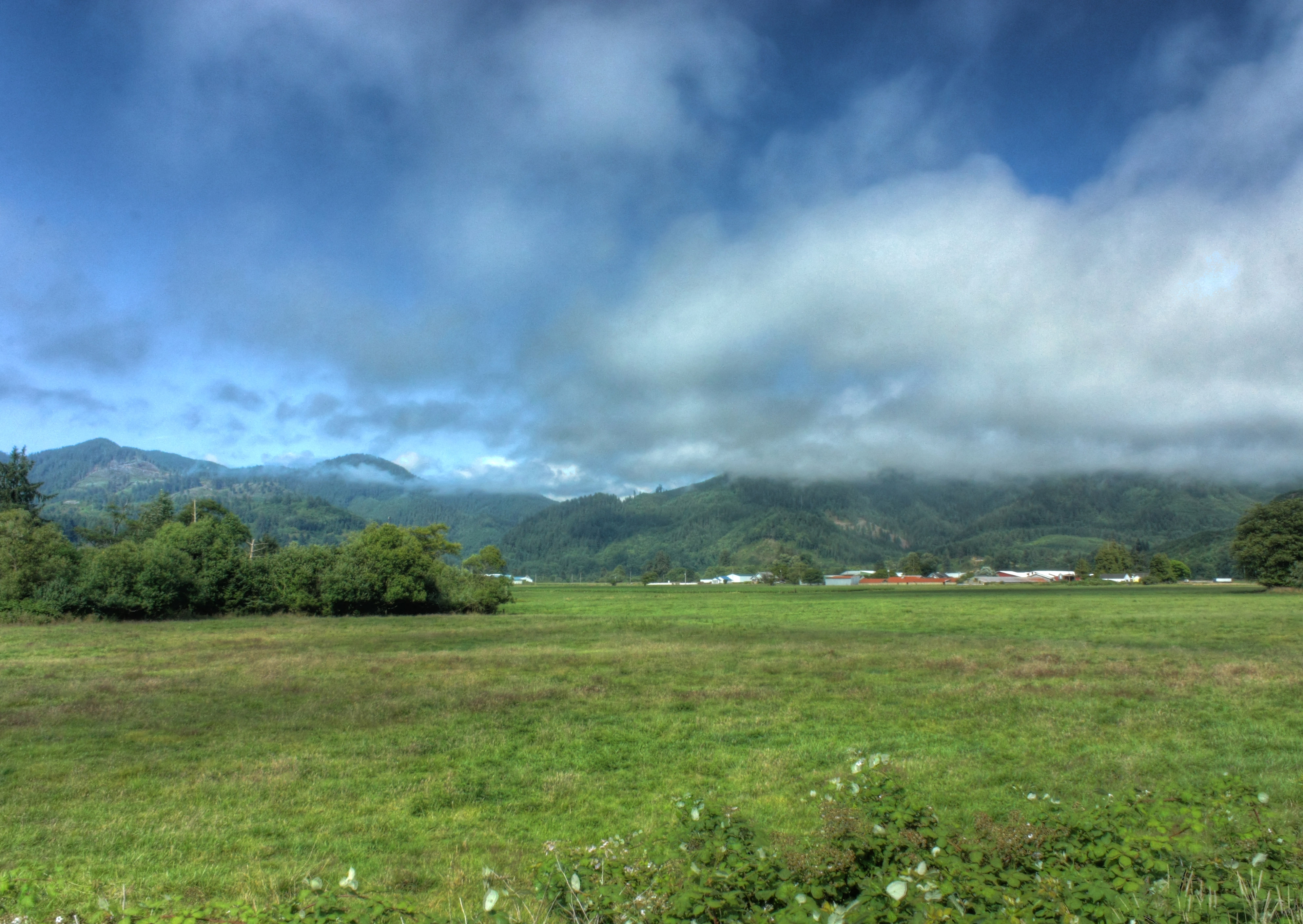 Near Tillamook Oregon