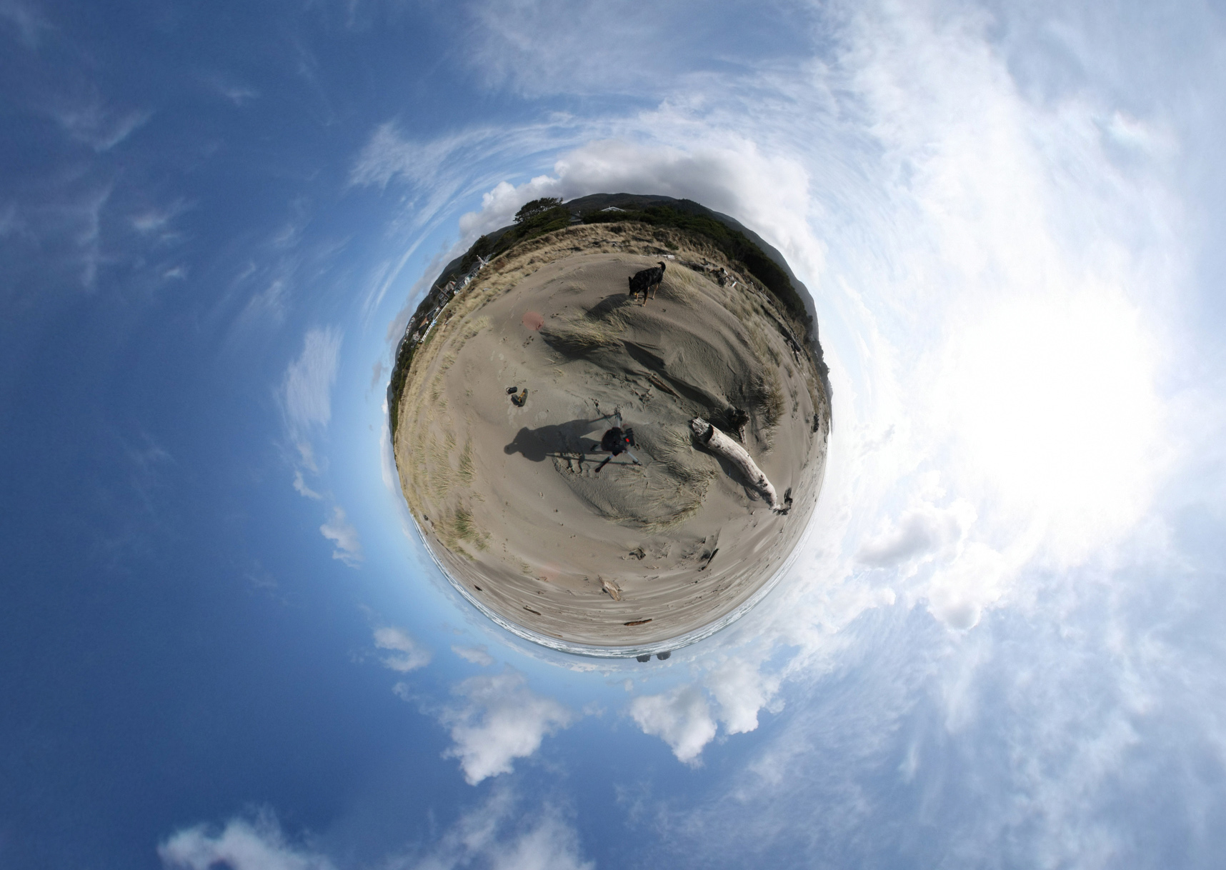 Little world, Big Dog